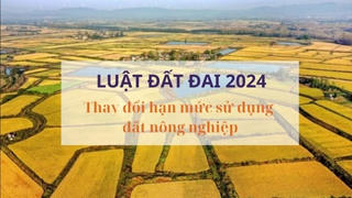 Từ 1/8, hạn mức chuyển nhượng đất nông nghiệp có sự thay đổi lớn