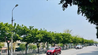 Nghệ An báo cáo Bộ Công an về dự án trồng cây xanh