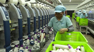 Trưởng Ban pháp chế VCCI: Doanh nghiệp đang rất khó khăn