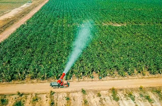 Tỷ phú Trần Bá Dương và Bầu Đức thoả thuận trả món nợ nghìn tỷ tại BIDV