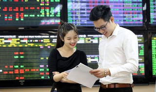 VN-Index khai xuân lên gần 41 điểm, cổ phiếu BĐS đua nhau tăng trần