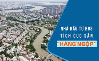 Nhà đầu tư BĐS tích cực săn “hàng ngộp”