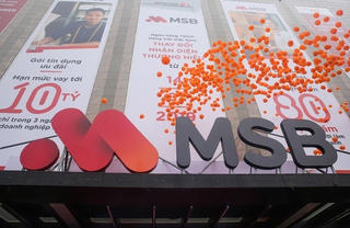 MSB dự kiến sáp nhập một ngân hàng TMCP, không có kế hoạch chia cổ tức năm 2022