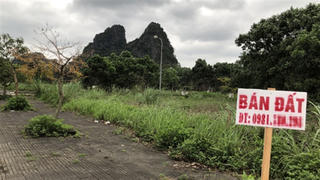 Thu hồi đất nông nghiệp người ngoại tỉnh đầu cơ, bỏ hoang