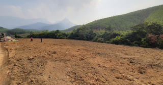 4 tỉnh, thành phố được phép chuyển đổi dưới 500 ha đất lúa, dưới 50 ha đất rừng