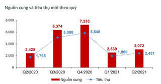 Bất động sản TP.HCM và các tỉnh phụ cận 6 tháng cuối năm 2021