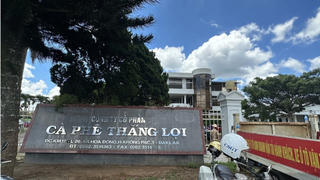 Thanh tra đề nghị thu hồi 616 ha đất của Cà phê Thắng Lợi