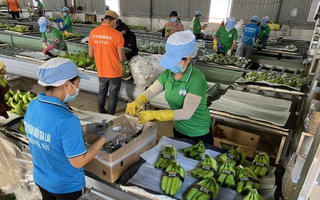 Hoàng Anh Gia Lai (HAG) bất ngờ quay lại kế hoạch phát hành 1.700 tỷ đồng cổ phiếu riêng lẻ