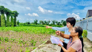 Dự thảo quy định tách thửa loại bỏ điều kiện về quy hoạch