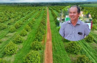 Tham quan vườn sầu riêng lớn nhất thế giới của bầu Đức