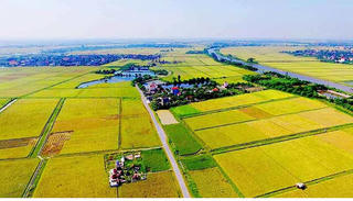 Dự thảo Luật Đất đai: ‘Ngân hàng đất nông nghiệp sẽ thúc đẩy tích tụ ruộng đất’