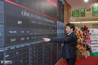 Cổ phiếu 'lau sàn' vì bị bán giải chấp, Đua Fat quay cuồng trong nợ nần
