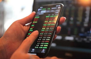 Chậm công bố thông tin ký hợp đồng kiểm toán, DIC Holdings (DC4) bị HoSE nhắc nhở