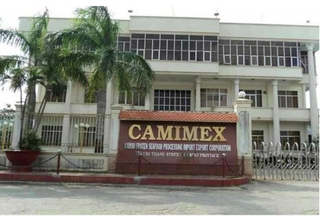 CMX bị phạt tiền vì vi phạm công bố thông tin, giao dịch 'chui' cổ phiếu