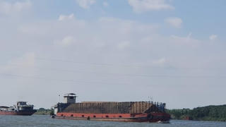 Trục lợi hoàn thuế, lãnh đạo Công ty Nam Phương Ninh Bình lĩnh án