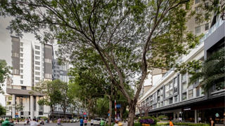 Trái ngọt hạnh phúc sau 15 năm kiến tạo “tiểu vùng sinh thái” phía Tây TPHCM