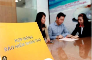 Thanh tra vạch nhiều sai phạm của 4 DN bảo hiểm khi bán sản phẩm qua ngân hàng