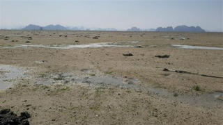 Đổ đất lấn vịnh Bái Tử Long: Khôi phục trước dự kiến