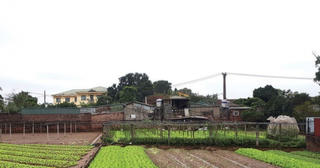 Nguyên tắc bồi thường khi thu hồi đất nông nghiệp