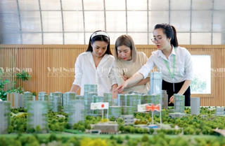 Cổ phiếu bất động sản đang ở chu kỳ nào?