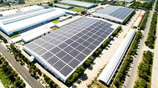 Cổ phiếu họ Bamboo Capital đồng loạt tăng trần