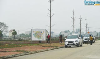 Chẩn đoán “sức khỏe” thị trường BĐS qua kịch bản sốt đất đầu năm