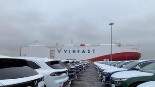 Vinfast làm khu vui chơi, nghỉ dưỡng 3.500 tỷ trên đảo Cái Tráp - Hải Phòng