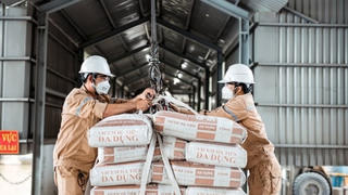Khai sai thuế, Xi Măng Vicem Hà Tiên bị phạt và truy thu hơn 2,6 tỷ đồng