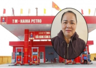 Bắt Chủ tịch Hải Hà Petro Trần Tuyết Mai