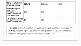 Tình hình tài chính DNNN - Dự đoán 2024 và Kế hoạch 2025