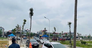 Thời điểm giáp Tết Giáp Thìn, thị trường hiếm còn tình trạng bán cắt lỗ bất động sản