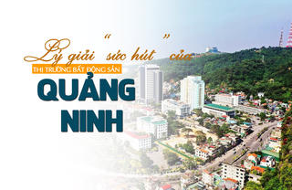 “Sức hút” của thị trường bất động sản Quảng Ninh