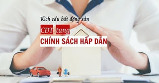 Kích cầu bất động sản, nhiều chủ đầu tư đã tung loạt chính sách hấp dẫn sau Tết
