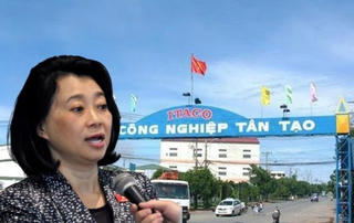 Cổ phiếu Tân Tạo: Lùm xùm, lao dốc và cái kết rớt sàn