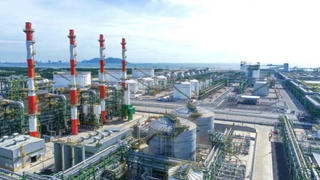 Lợi nhuận quý 1/2025 của Long Sơn PIC giảm mạnh