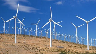 Địa phương xin gia hạn giá FIT điện gió: Lợi gì?