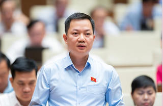 'Thanh tra, kiểm toán EVN để có câu trả lời có đúng là lỗ thật hay không?'