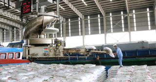 Lợi nhuận tăng khủng, cổ phiếu DCM của Đạm Cà Mau vẫn cắm đầu lao dốc