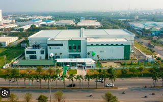 Vi phạm về thuế, Dược liệu TW2 bị phạt, truy thu hơn 316 triệu đồng