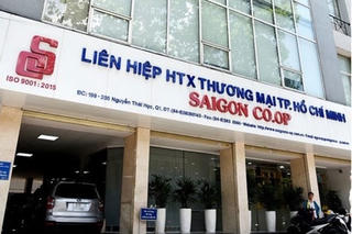 Vụ góp vốn “chui” vào Saigon Co.op: Luật sư kiến nghị xem xét lại kết luận thanh tra