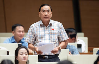 ‘Dư luận bất bình với tình trạng nước ngoài núp bóng người Việt thâu tóm bất động sản’