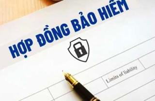 Bảo hiểm MVI lên tiếng về vụ việc của diễn viên Ngọc Lan