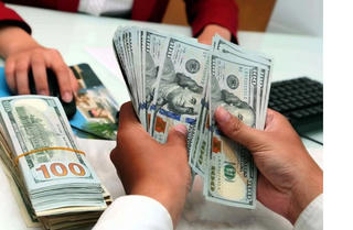 Đầu năm vượt đỉnh 25.000 đồng/USD, tỷ giá còn tăng nóng?