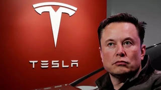 Doanh thu Tesla giảm không phanh trong quý 1/2025
