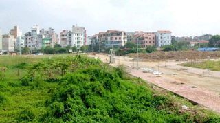 Khai thác hợp lý, hiệu quả diện tích đất chưa sử dụng