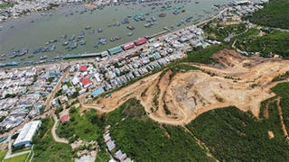 Sự thật bất ngờ vụ khu đô thị "xẻ" rừng phòng hộ