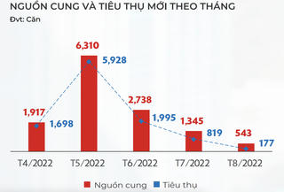 Tỷ lệ hấp thụ căn hộ sơ cấp TP.HCM chạm đáy