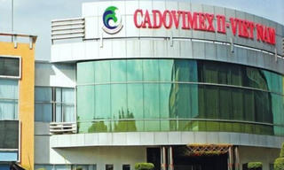 Cadovimex đổ vỡ: Lãnh đạo bị bắt, lỗ triền miên... đi đến phá sản