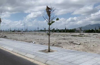 Thua kiện Cục Thuế Khánh Hòa, Cam Ranh City Gate tiếp tục bị truy thu 172 tỷ đồng