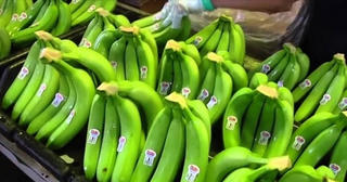 HAGL Agrico tiếp tục thua lỗ lớn